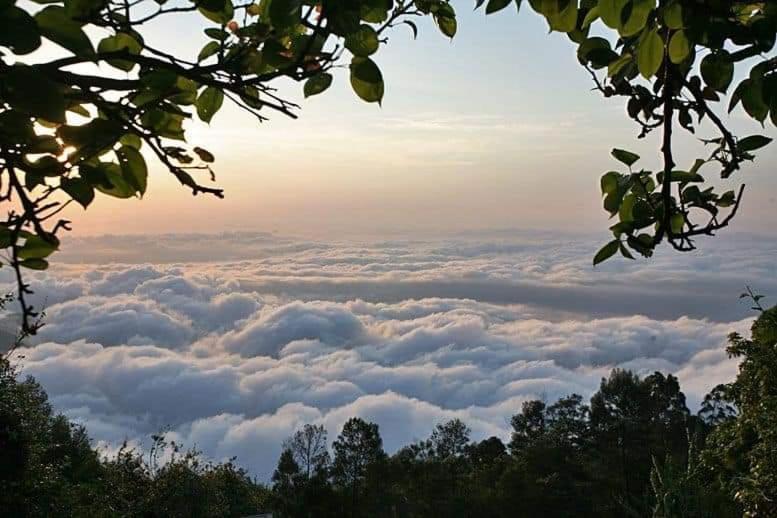 Minus 1 Hotel Kodaikanal Buitenkant foto
